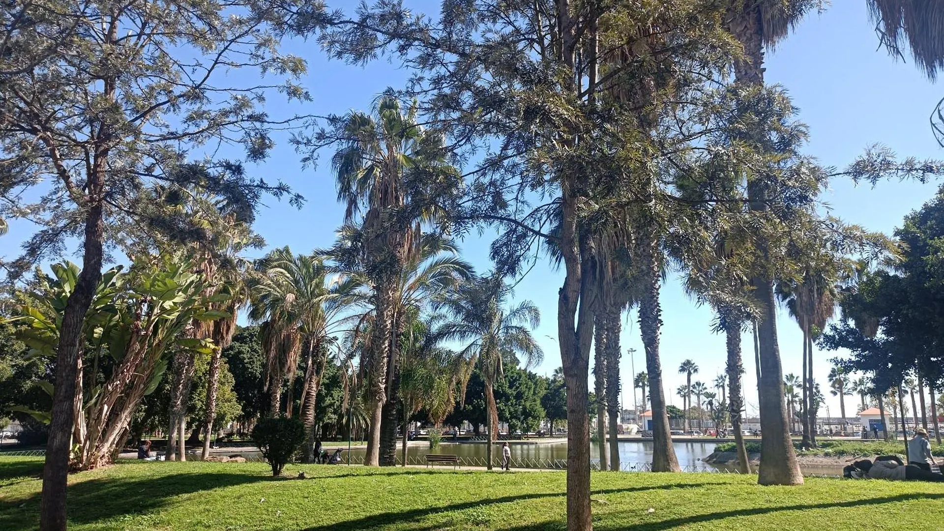 Bahia De Malaga Apartment